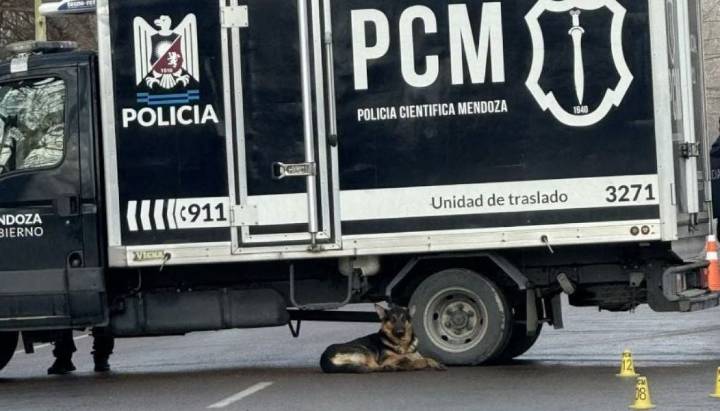 Hombre murió atropellado en su cumpleaños: su perro lo acompañó hasta su último suspiro en Argentina