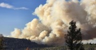 Windy Rock fire reported in Powell County burning 500 acres