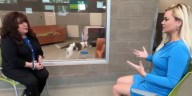 FOX5’s Kim Passoth went one-on-one with Animal Foundation CEO Hilarie Grey