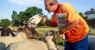 How AgrAbility aids the injured, aging in agriculture