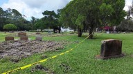 ‘Like a hurricane happened:’ Wild hogs tear up Flagler County cemetery, causing major damage