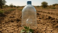 Ni enchufes ni tubos: el increíble truco para regar por goteo con solo dos botellas y la luz del Sol