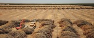 Earth's Continents Are Drying Out at an Unprecedented Rate, Study Warns