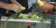 Volunteers prepare for the yearly St. Jude Shrimp and Corn Boil