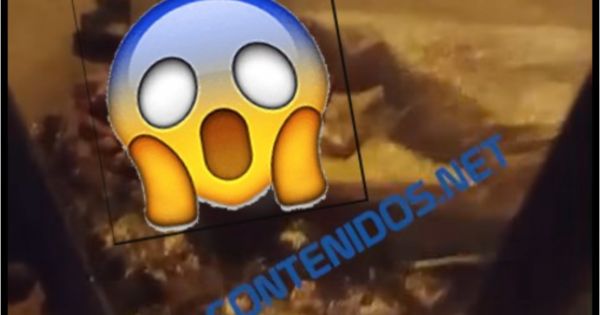 Norteño le hizo una "macumba" a su ex y le dejó algo asqueroso en su casa