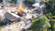 ‌FANB frustra cinco intentos de instalación de campamentos de narcotráfico en Venezuela