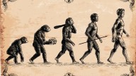 Hallan una nueva especie de Australopithecus que coexistió con los primeros Homo