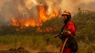 El fuego no da tregua en España: segundo fallecido en León y más de 50.000 hectáreas quemadas