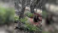 A Woman With Dementia Lost In Utah Wilderness Found Thanks To Her Dog’s Unwavering Bark