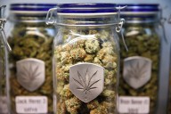 Recriminalize don’t decriminalize marijuana
