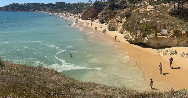 British tourists warned against grotesque beach habit branded 'bizarre'
