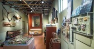 Looking for indoor entertainment? Here's are 5 underrated Louisiana museums worth the trip