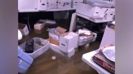 Evansville comic and collectible shop plans final sale