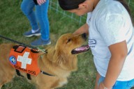 Texas Man Shows That All Dogs are Not Service Dogs at Buc