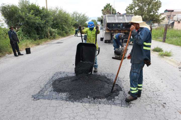 Va Saltillo con todo en acciones de reforestación