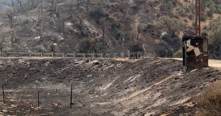 Rock Front Ranch loses bees, trees in Gifford Fire