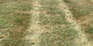 Dry conditions causing concern in parts of central Kentucky
