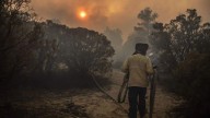 México entre cenizas y fuego: el 2024 fue el peor año por incendios forestales sin planes de contingencias