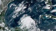 Tracking Tropical Storm Erin and disturbance in the Gulf