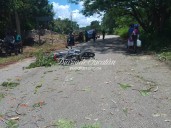 Pareja derrapa al caerle una rama en la carretera Peto