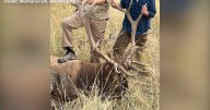 Michigan father and son face felony wildlife charges in Montana