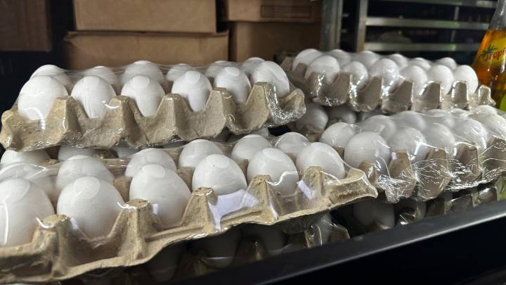 Salmonella outbreak linked to eggs sickens 95 people, CDC says