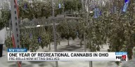 One year of recreational cannabis in Ohio: Pre-rolls now hitting shelves