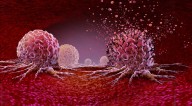 IO Biotech: A Buying Opportunity Following Phase 3 Readout In Melanoma