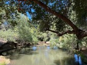 More than 1,000 acres of ancestral land being returned to Indigenous tribe 