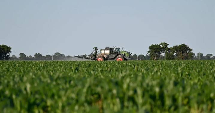 The unseen harvest: Pesticides, cancer and rural Missouri’s health crisis