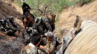 Cinco mexicanos con antecedentes penales detenidos...