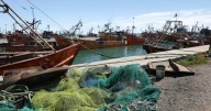 Crisis pesquera en Río Negro: buscan actualizar la ley para proteger el Golfo de San Matías y el empleo