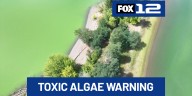 Toxic algae bloom warning issued for Willamette River from Ross Island to Columbia River