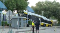 Five people taken to hospital after DART bus crashes into tree, DFR says