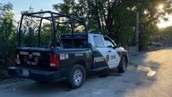 Decomisan 50 caballos que eran usados por carretoneros de El Ranchito, en Guadalupe