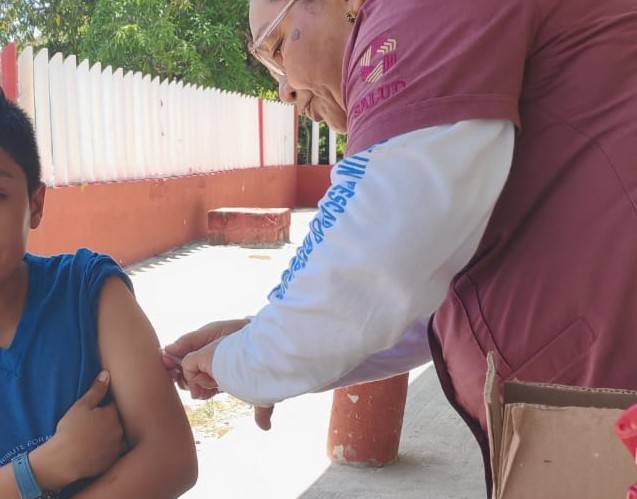 Vacunas: la barrera contra 13 enfermedades
