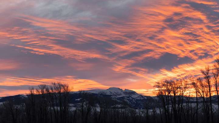 Last call for public comment on BTNF forest plan draft assessment