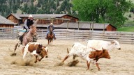 Travel: Saddle up! These guest ranches deliver the West without roughing it