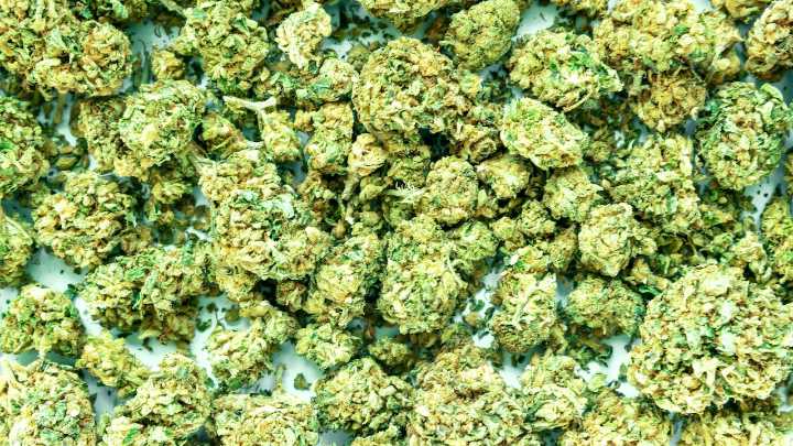 The Green Bean, a marijuana home delivery service, gets shut down by N.J. police