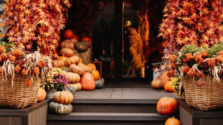 8 decoraciones otoñales y elegantes que son perfectas para Halloween
