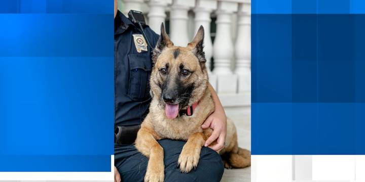 Alabama Law Enforcement Agency mourns loss of K
