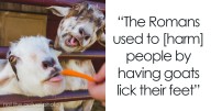 51 Disturbing Facts That Don’t Help To Sleep At Night