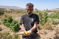 La sequía sin precedentes del río Orontes pone en peligro a los agricultores sirios