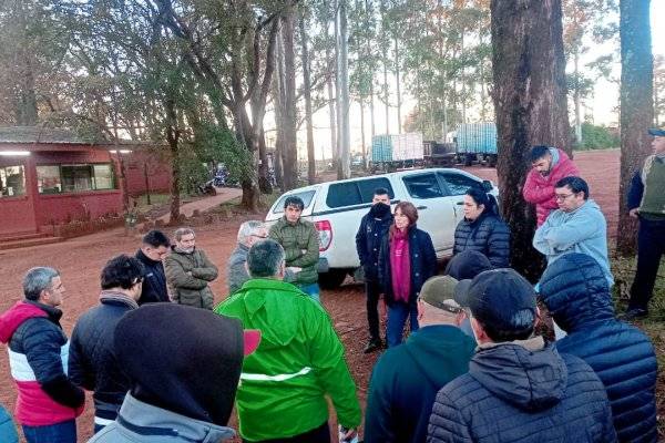 FORESTAL TAPEBICUÁ! Afirman qué la apertura de importación fué la chispa de la crisis