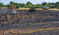 Wildfires break out at east London park for second day in a row amid scorching temperatures