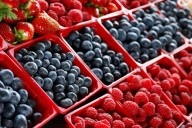 Exportación de arándanos a Indonesia superará los USD 100 millones el primer año
