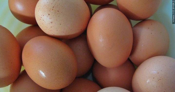 CDC issues food safety alert following Samonella outbreak