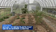 Nonprofit exploring effort to grow plants that grow in warmer climates