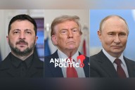 Trump negocia “cumbre de paz” entre Putin y Zelensky para poner fin a guerra en Ucrania