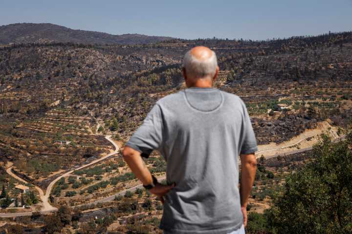 7’7 millones de euros para la restauración ambiental de las zonas castigadas por los grandes incendios forestales de 2022